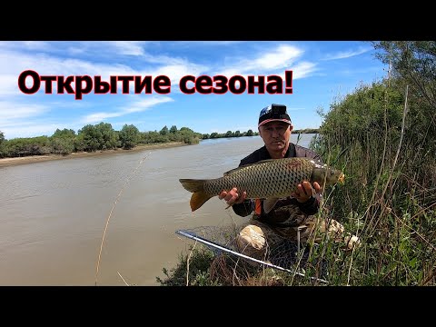 Видео: ЛОВЛЯ САЗАНА на ФИДЕР на МАКУХУ .РЕКА КАРАТАЛ.