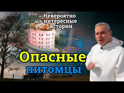 Видео: «НИИ РЕН ТВ 2025» |Опасные питомцы, Аномалии  (10.04.2024)|FULL 1080HD
