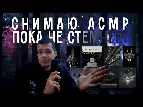 Видео: снимаю АСМР в лесу пока не стемнеет  🌒 философия и мурашки