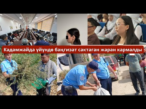 Видео: #БАТКЕНЖАҢЫЛЫКТАР: Кадамжайда үйүндө баңгизат сактаган жаран кармалды