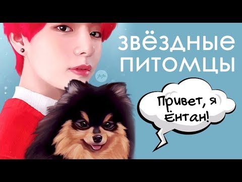 Видео: СМЕШНЫЕ ПИТОМЦЫ KPOP АЙДОЛОВ~ | ARI RANG