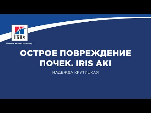 Видео: Вебинар №3 школы НЕФРОУРОВЕТ: "Острое повреждение почек. IRIS AKI". Лектор - Надежда Куртицкая.