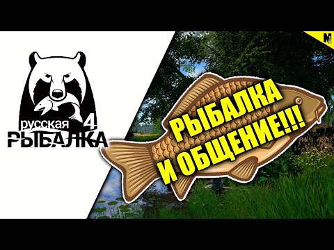 Видео: РУССКАЯ РЫБАЛКА 4 // РЫБАЛКА И ОБЩЕНИЕ