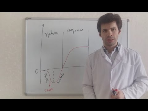 Видео: Учение о стрессе Г. Селье