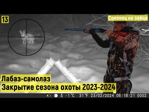 Видео: Солонец на зайца. Лабаз-самолаз. Тристенд. Закрытие охоты 2023-2024. Охота на зайца.