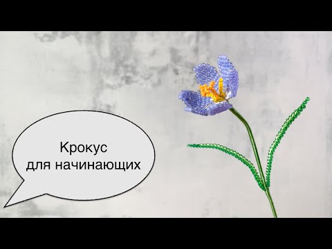 Видео: Крокус из бисера для начинающих в технике параллельного плетения