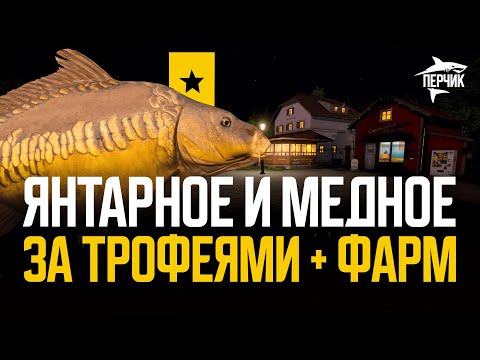 Видео: Карпфишинг на Янтарном и Медном: трофы и фарм ● Русская рыбалка 4 ● Перчик РР4