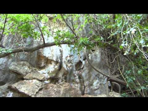 Видео: Таиланд часть 10