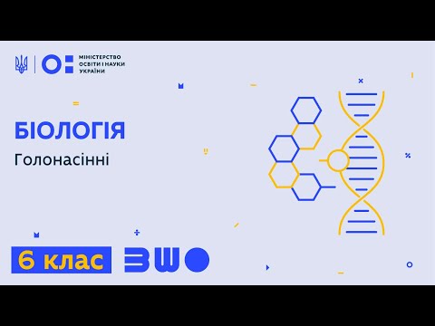 Видео: 6 клас. Біологія. Голонасінні