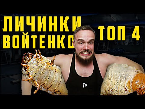 Видео: 2 СМЕШНЫЕ ЛИЧИНКИ ИГОРЯ ВОЙТЕНКО / врот тз дрим!