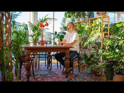 Видео: Как ускорить рост растений этой зимой