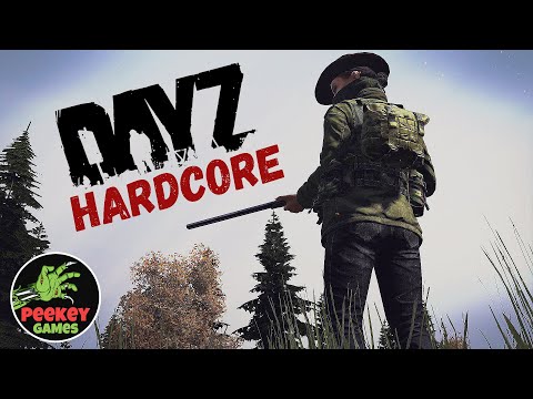 Видео: 🛑 DayZ Solo "В поисках закладки" (Сервер: Hard Life)