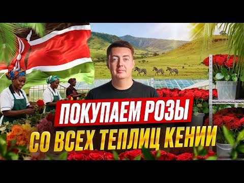 Видео: Где рождаются розы, о которых мало кто знает | Кения | Цветы оптом | Grand Flowers Group