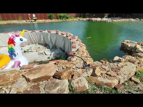 Видео: сажаем растения в нашем водоеме🙂