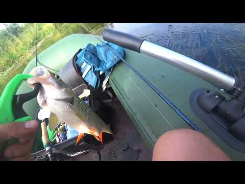 Видео: САМАЯ уловистая блесна! Микро-блесна на голавля!