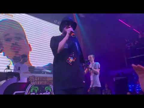 Видео: Заги Бок "Желтая Ветка" (live) на Boogie partyVol 2 | 21 мая | IZI Moscow