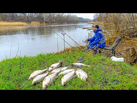 Видео: ШО ТАМ? ПЛІТКА ПІШЛА? Фідерна риболовля на річці Псел