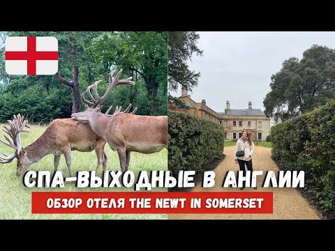 Видео: СПА-выходные в Англии. Обзор отеля The Newt in Somerset