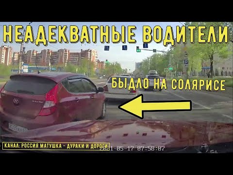 Видео: Неадекватные водители и дураки на дороге #427! Подборка на видеорегистратор!