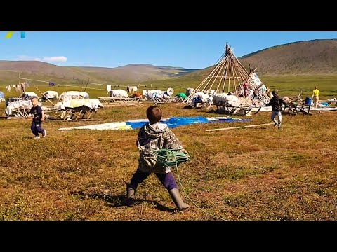 Видео: Как живут коми-оленеводы на Полярном Урале?
