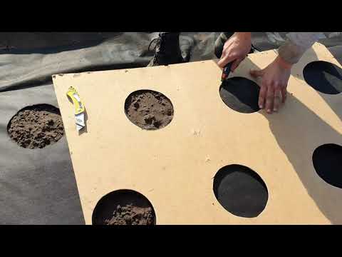 Видео: Какие мы делаем отверстия в агроволокне для клубники