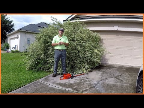 Видео: Этот куст настолько большой, что его невозможно поместить в гараж | Кусторез ECHO 58V, изношенный