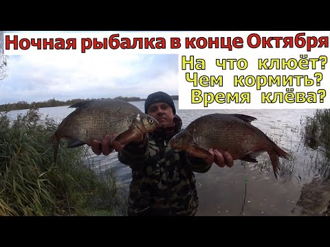 Видео: Большая рыба идёт на ЭТО. Ловля на фидер осенью. Рыбалка на фидер конец октября-ноябрь. Ловля леща.