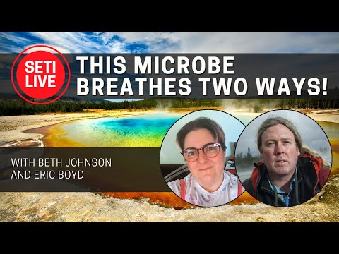 Видео: Этот микроб дышит двумя способами! Бактерии, бросающие вызов биохимии