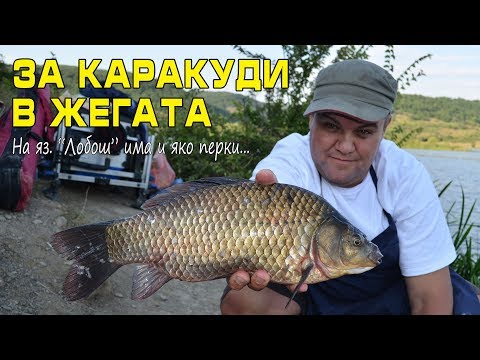 Видео: За каракуди в жегата (на язовир Лобош има яко "перки")