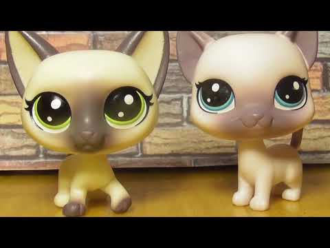 Видео: LPS: СИАМСКИЕ СТОЯЧКИ 2004 ПРОТИВ СТОЯЧЕК 2017 / Siamese cats 2004 vs. 2017