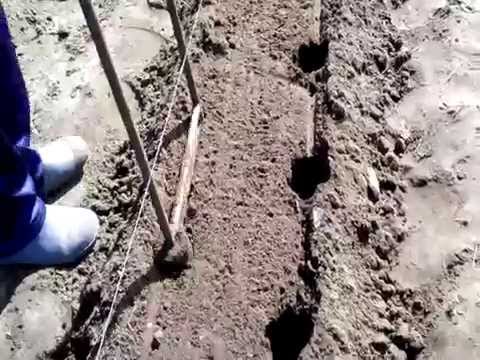 Видео: Посадка картофеля по методу Метлайдера