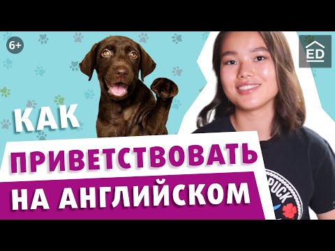 Видео: Английский для начинающих: Приветствия на английском | Уроки английского языка | EnglishDom
