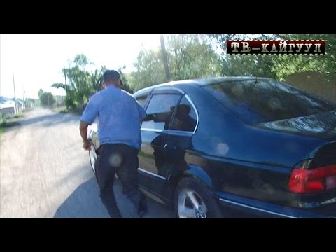 Видео: ТВ КАЙГУУЛ #71 / ТОКТО деген Тартип САКЧЫНЫ сүйрөп кеткен "ТЕНТЕК" / НТС / 30.08.2016