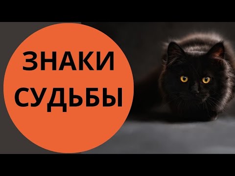 Видео: 3 важных знака Судьбы