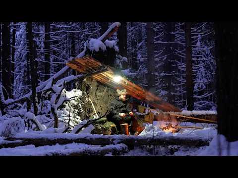 Видео: -17с/1ф без спального мешка, очень холодно, ночь в приюте для выживания в бушкрафте
