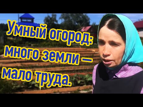 Видео: Умный огород: много земли – мало труда.