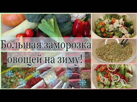 Видео: Большая заморозка овощей на зиму! Овощные полуфабрикаты! Как заморозить на зиму перец, лук порей...