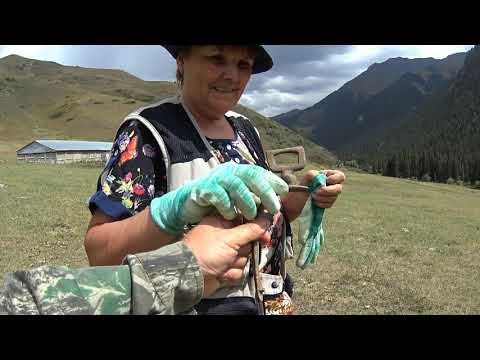 Видео: Ущелье Туюк Восточный.