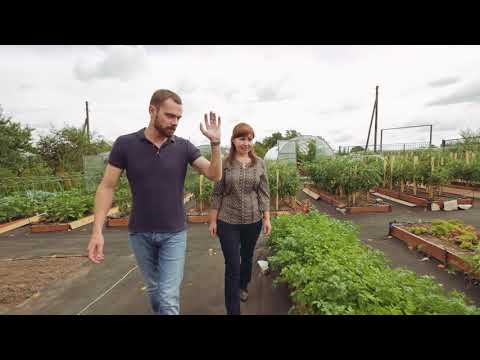 Видео: Я В ВОСТОРГЕ! ЭКСКУРСИЯ ПО ОПЫТНОМУ УЧАСТКУ АГРОФИРМЫ ПАРТНЕР!