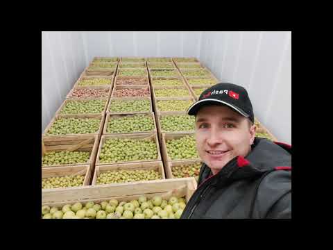 Видео: Хранилище на 1300 тон РГС, Кыргызстан. Storage facility for 1300 tons RGS, Kyrgyzstan.