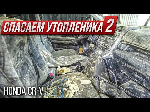 Видео: Детейлинг утопленника 2. История длинной в полгода. HONDA CRV из потопа в Сочи.