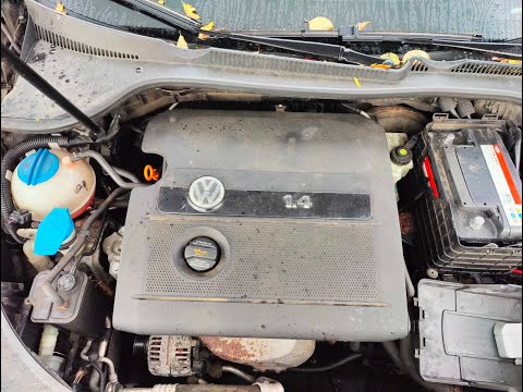 Видео: C1198 ДВС (Двигатель) VW Golf-5 1.4i BCA