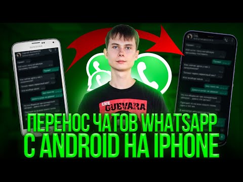 Видео: Перенос  whatsapp с android на iPhone Бесплатно