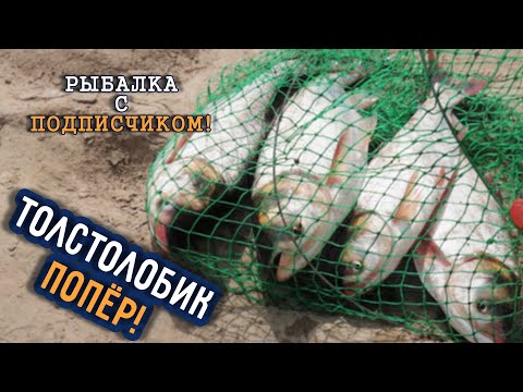 Видео: ТОЛСТОЛОБ НА СЫРДАРЬЕ ? На технопланктон и кашу! #ловлятолстолобика #рыбалкавузбекистане