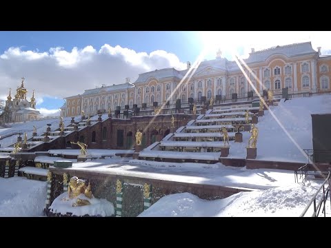 Видео: Петергоф, золото в снегу