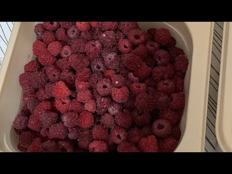 Видео: Малинаны кыска сактау! Как заморозить малину?Блог для мамочек!