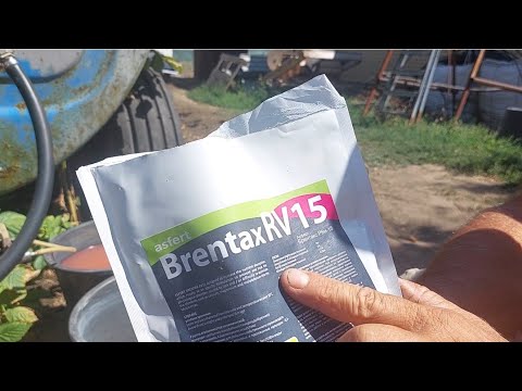 Видео: Как заставить малину плодоносить обильно!