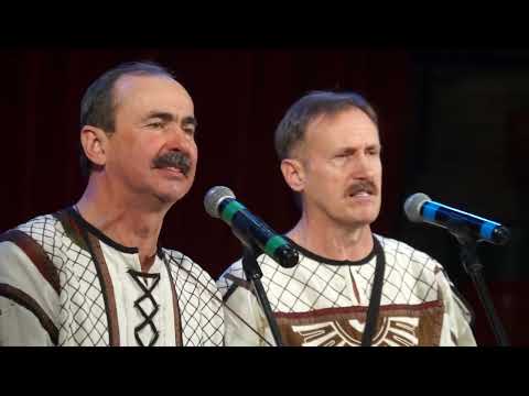 Видео: Загулял казак