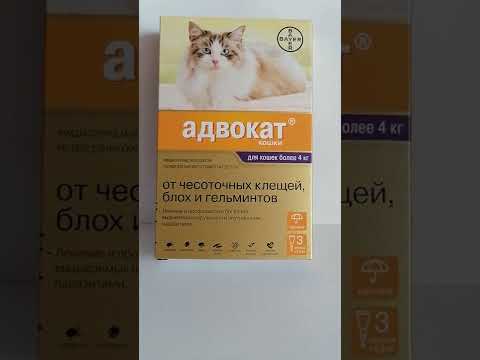 Видео: Адвокат для животных от блох и дирофилярий.  От клещей на траве он НЕ РАБОТАЕТ!!!