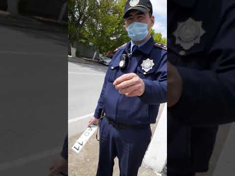 Видео: Кызылорда Гаи